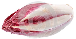 Red endive on white background. File contains clipping path
