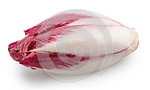 Red endive on white background. File contains clipping path photo