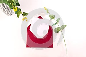 Red envelope with empty white card for text on white background