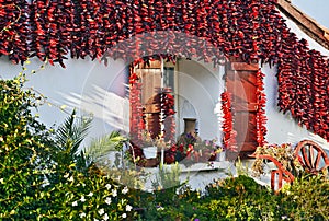 Red Espelette peppers decorating Basque house photo