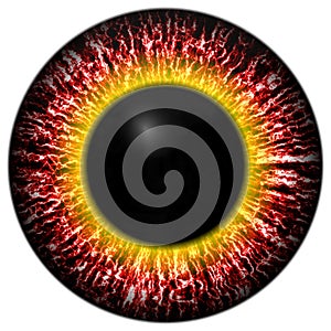 Red eye iris
