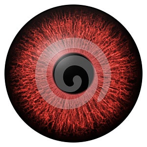 Red eye iris macro illustration