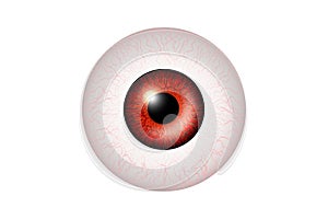 Red Eye Realistic. Vector Illustration Of 3d Human Glossy Photo Realistic Eye shine and Reflection.