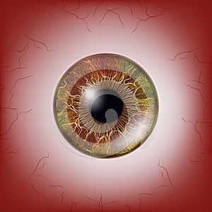 Red Eye. Scary Bloody Realistic Eyeballs. Spooky Human Eyeball With Grunge Blood Splatter. Vector