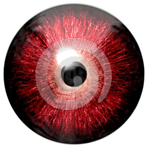 Red eye texture isolated on white background