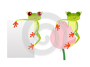 Red eyed frog with blank background. Tree frog on lotus flower. Cute animal. Vector 10 EPS illustration. Isolated on white