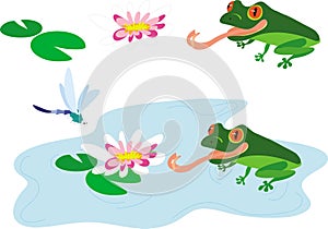 A red-eyed frog prepares to dine with a dragonfly. Vector illustration with a frog and a dragonfly on a pond with a beautiful whit