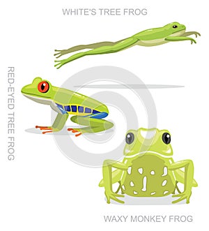 Red-Eyed Tree Frog Set Cartoon Vector Illustration