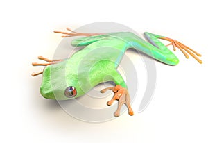 Red eyed tree frog from tropical rainforest of Costa Rica isolated on white. Agalychnis callidrias. 3d illustration