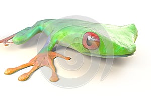 Red eyed tree frog from tropical rainforest of Costa Rica isolated on white. Agalychnis callidrias. 3d illustration