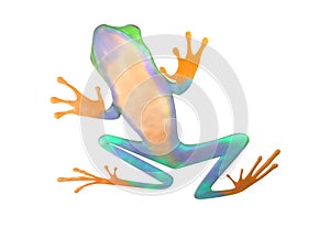 Red eyed tree frog from tropical rainforest of Costa Rica isolated on white. Agalychnis callidrias. 3d illustration