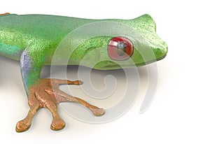 Red eyed tree frog from tropical rainforest of Costa Rica isolated on white. Agalychnis callidrias. 3d illustration