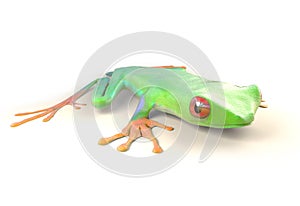 Red eyed tree frog from tropical rainforest of Costa Rica isolated on white. Agalychnis callidrias. 3d illustration