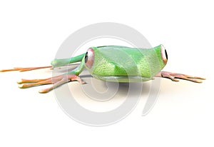 Red eyed tree frog from tropical rainforest of Costa Rica isolated on white. Agalychnis callidrias. 3d illustration