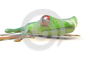 Red eyed tree frog from tropical rainforest of Costa Rica isolated on white. Agalychnis callidrias. 3d illustration