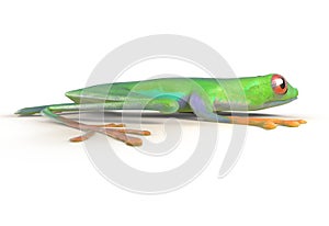 Red eyed tree frog from tropical rainforest of Costa Rica isolated on white. Side view. Agalychnis callidrias. 3d