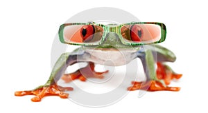 Red-eyed Treefrog, Agalychnis callidryas wearing sunglasses