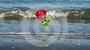 Red fabric rose flower stands in foamy running waves