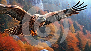 Red falcon flying in the nature background