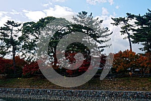 Red Fall foliage leaf colours near the pond with tree reflection in water. Landscape of beautiful garden before sunset