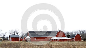 Red gambrel roof farm barns in FingerLakes countryside photo