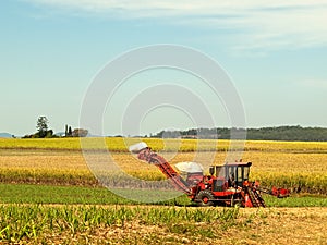 Red Farm cane harvester on agriculture land