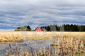 Red farmhouse with a barn, a car and a truck at the edge of a gr
