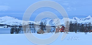 Red farmhouses in Tromso with the mountains on Kvaloya