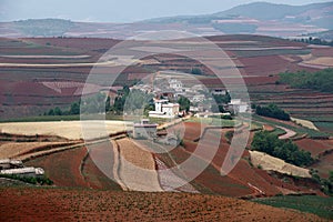 Red farmland with village in dongchuan of china