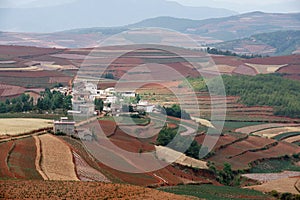 Red farmland with village in dongchuan of china