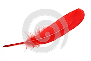 Red Feather