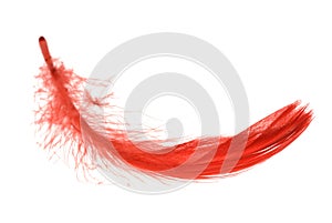 Red feather