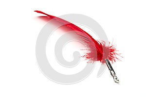 A red feather pen isolated on white background