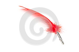 A red feather pen isolated on white background