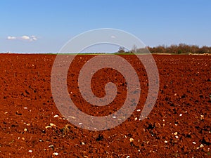 Red fields countryside