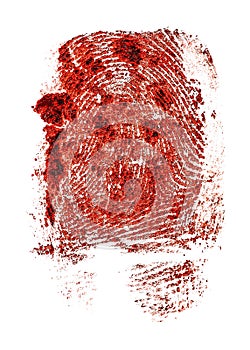 Red fingerprint on white background. Bloody fingerprint