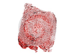 Red fingerprint on a white background, close up. Bloody fingerprint