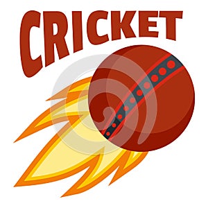 Red fire ball cricket logo, flat style