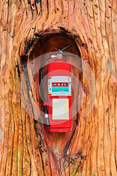 Red fire extinguisher in the tree