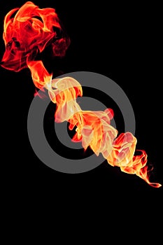 Red fire flames in the shape of the bear on a black background
