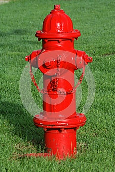 Red Fire HYdrant