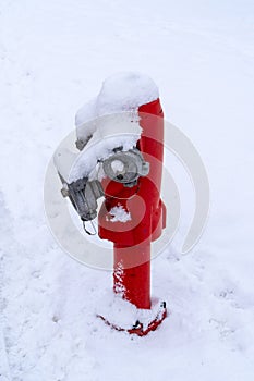 Red Fire Hydrant