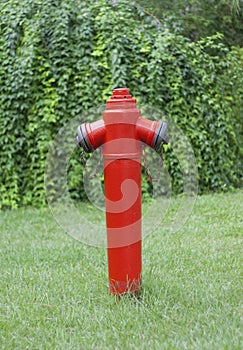 Red fire hydrant against a green lawn