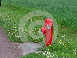 Red fire hydrant