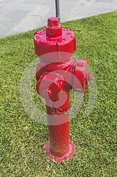 Red Fire Hydrant on grass