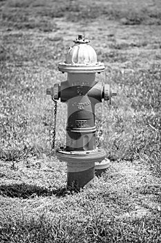 Red fire Hydrant in grass