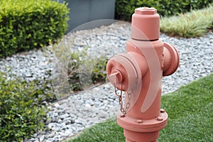 red fire hydrant on green grass