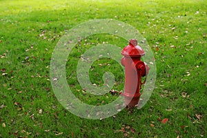 Red fire hydrant on the green grass background