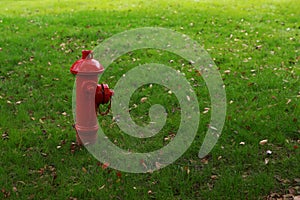 Red fire hydrant on the green grass background