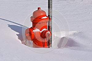 Fire hydrant buried in snow
